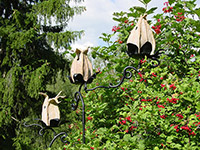 Perch pods